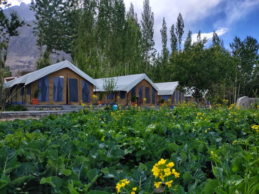 Nubra Organic Retreat