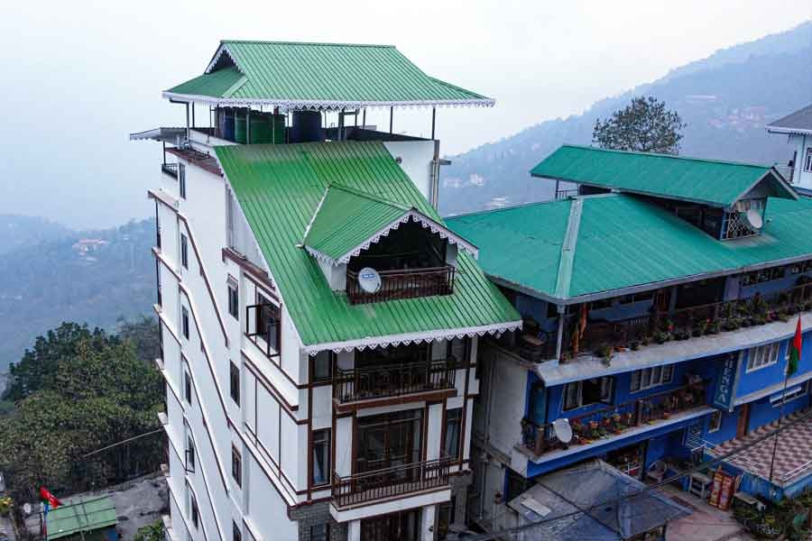 Rufina Palm Bliss Pelling